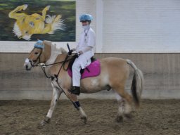 DSC_0236-2_web